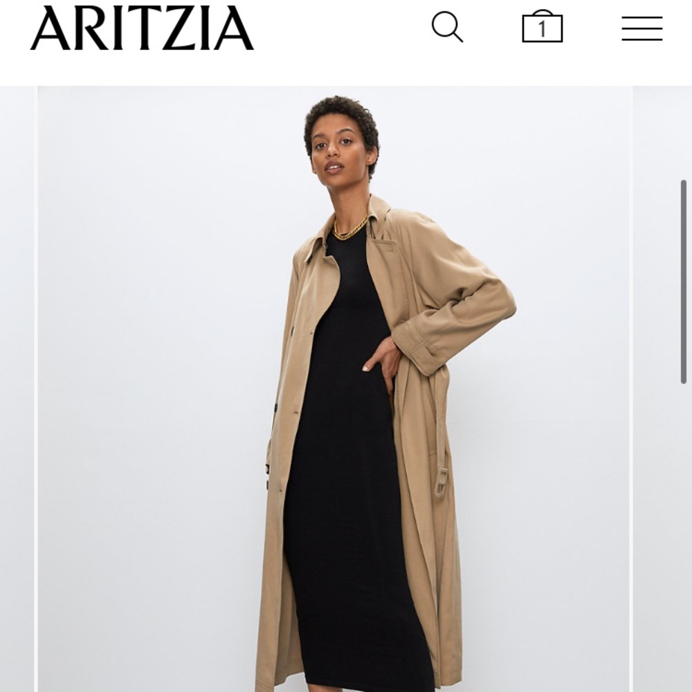Aritzia Babaton Torino trench coat